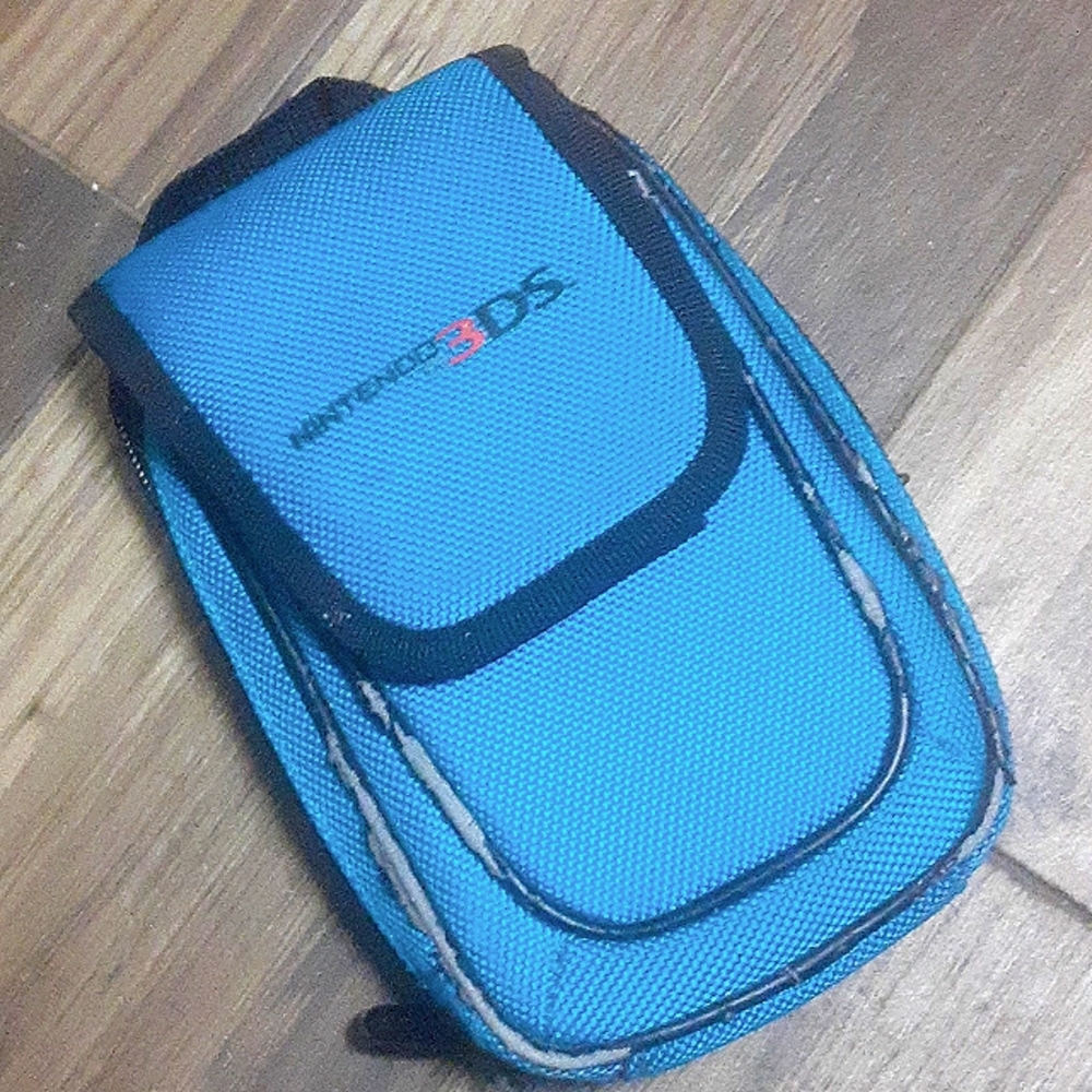 Nintendo 3 DS case